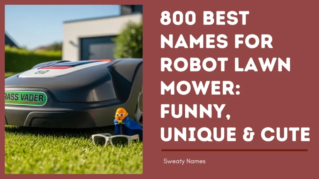 Names for Robot Lawn Mower